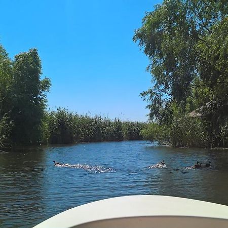 Vila Lotus Murighiol Bagian luar foto