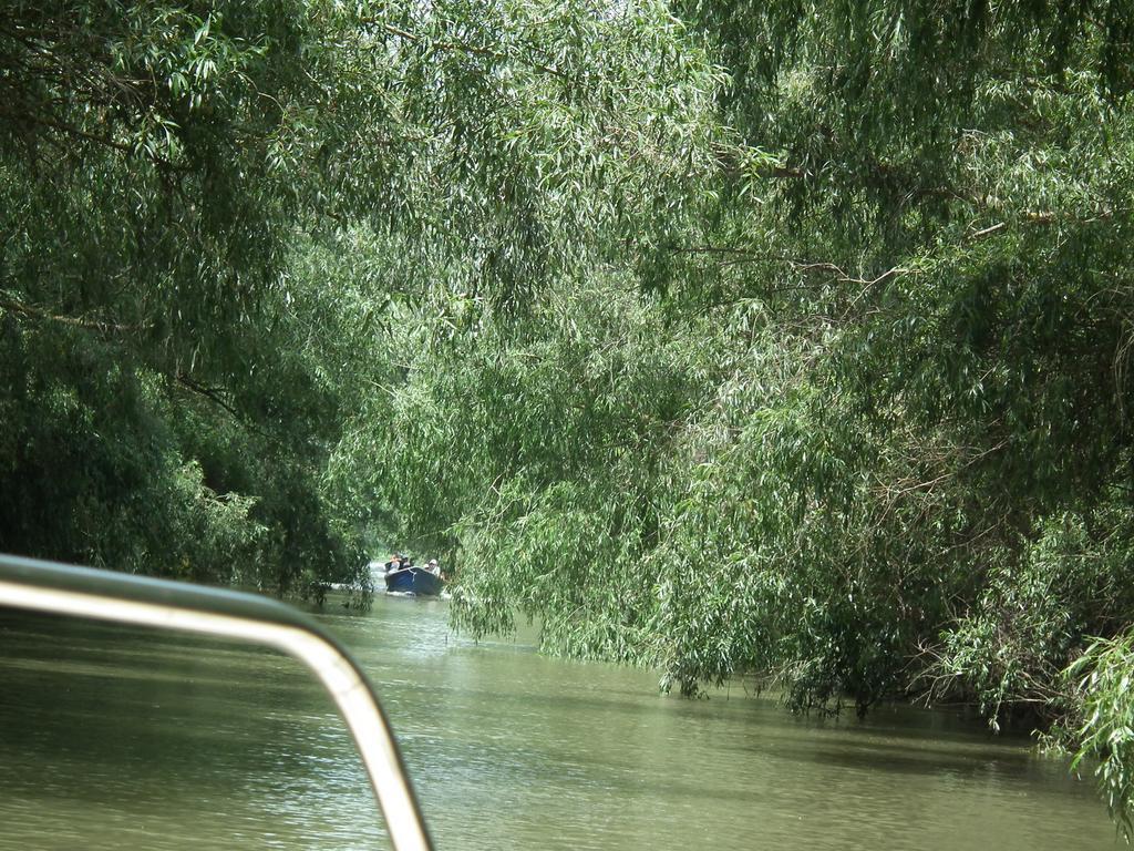 Vila Lotus Murighiol Bagian luar foto
