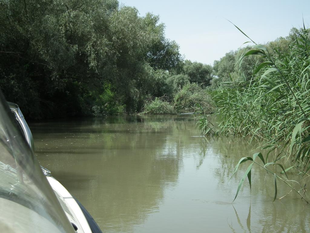 Vila Lotus Murighiol Bagian luar foto